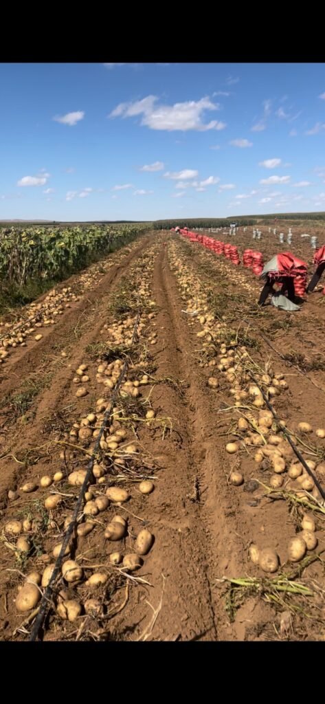 8d6ade8d44b13fc77f7c7856ae34816f 473x1024