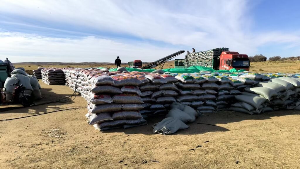 A875351e416b22b7a2f89d6c21a5e265 1024x576