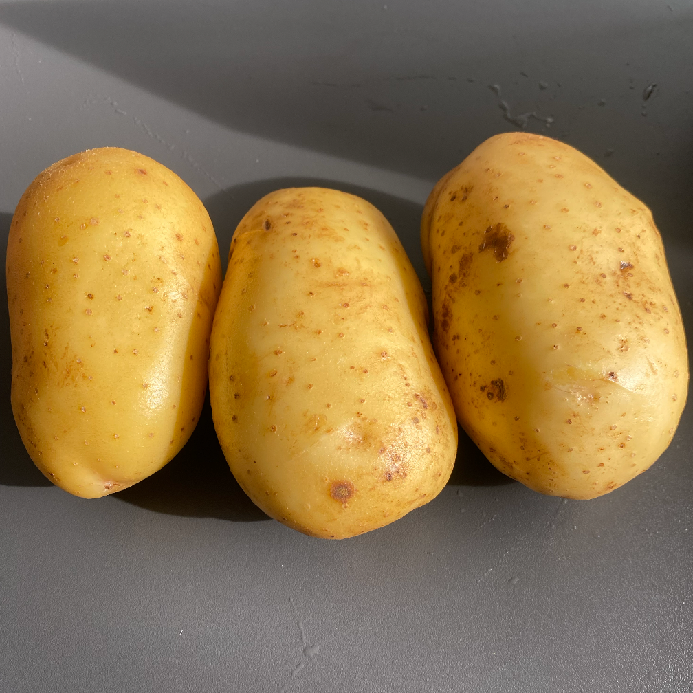 ScreenShot 2026 01 29 160404 349